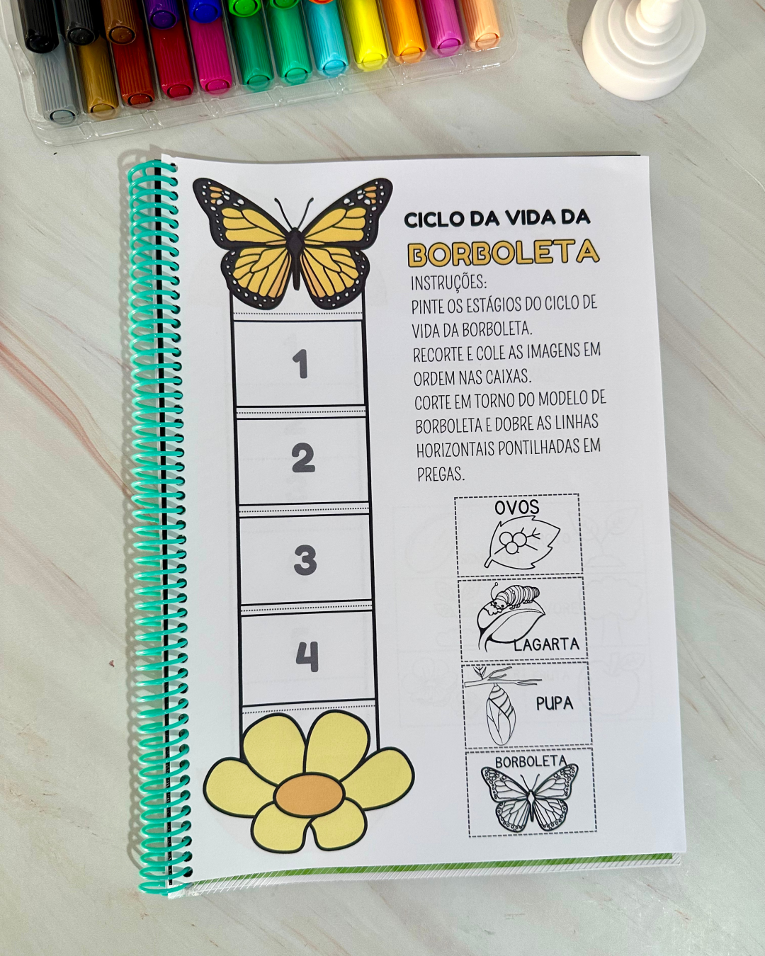 Sequência Temporal - Image 11
