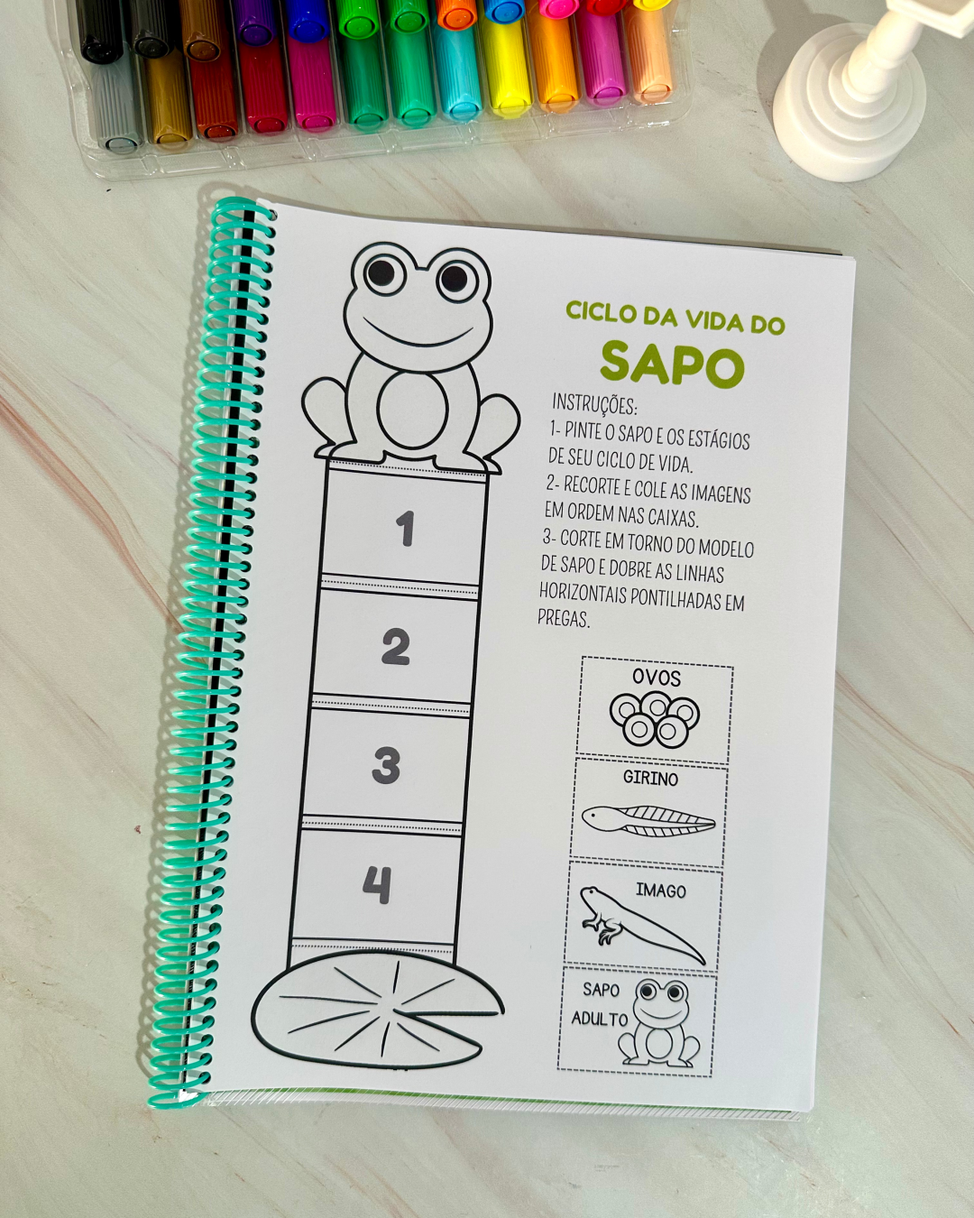 Sequência Temporal - Image 5