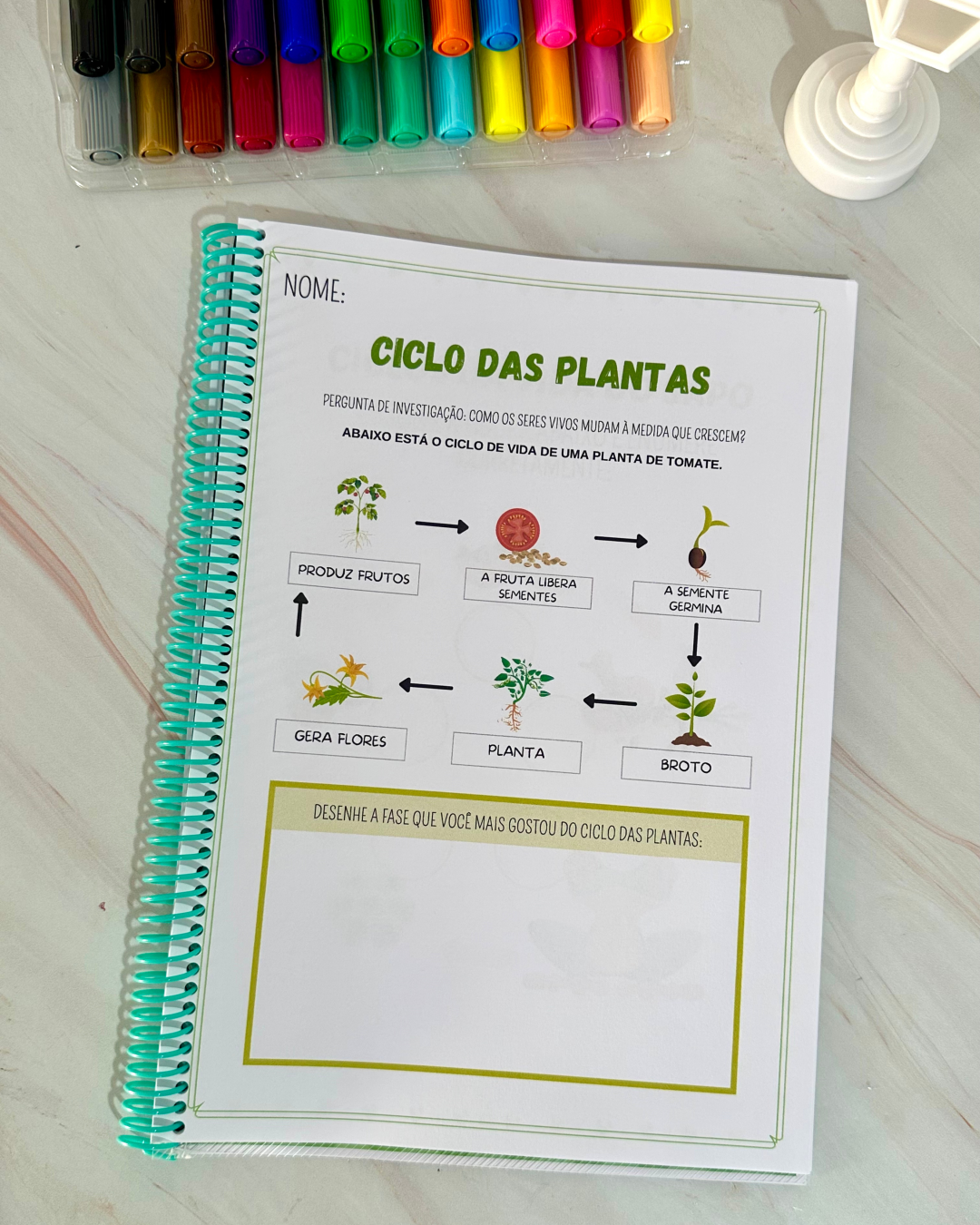 Sequência Temporal - Image 2