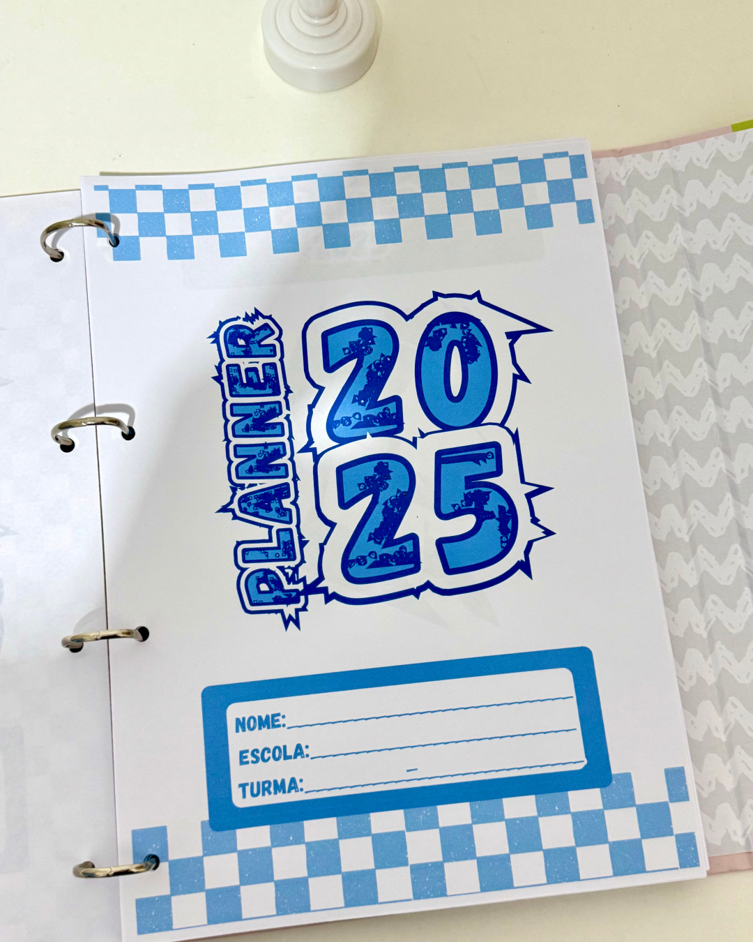Planner Professor