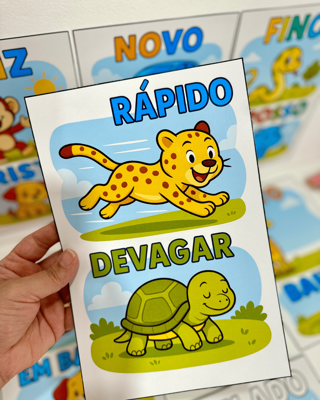 Fichas Conceitos - Educação Infantil - Imagem 7