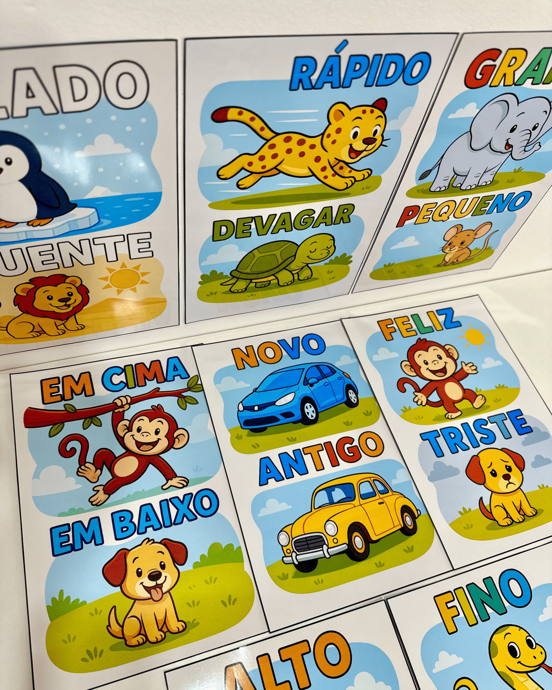 Fichas Conceitos - Educação Infantil - Imagem 5