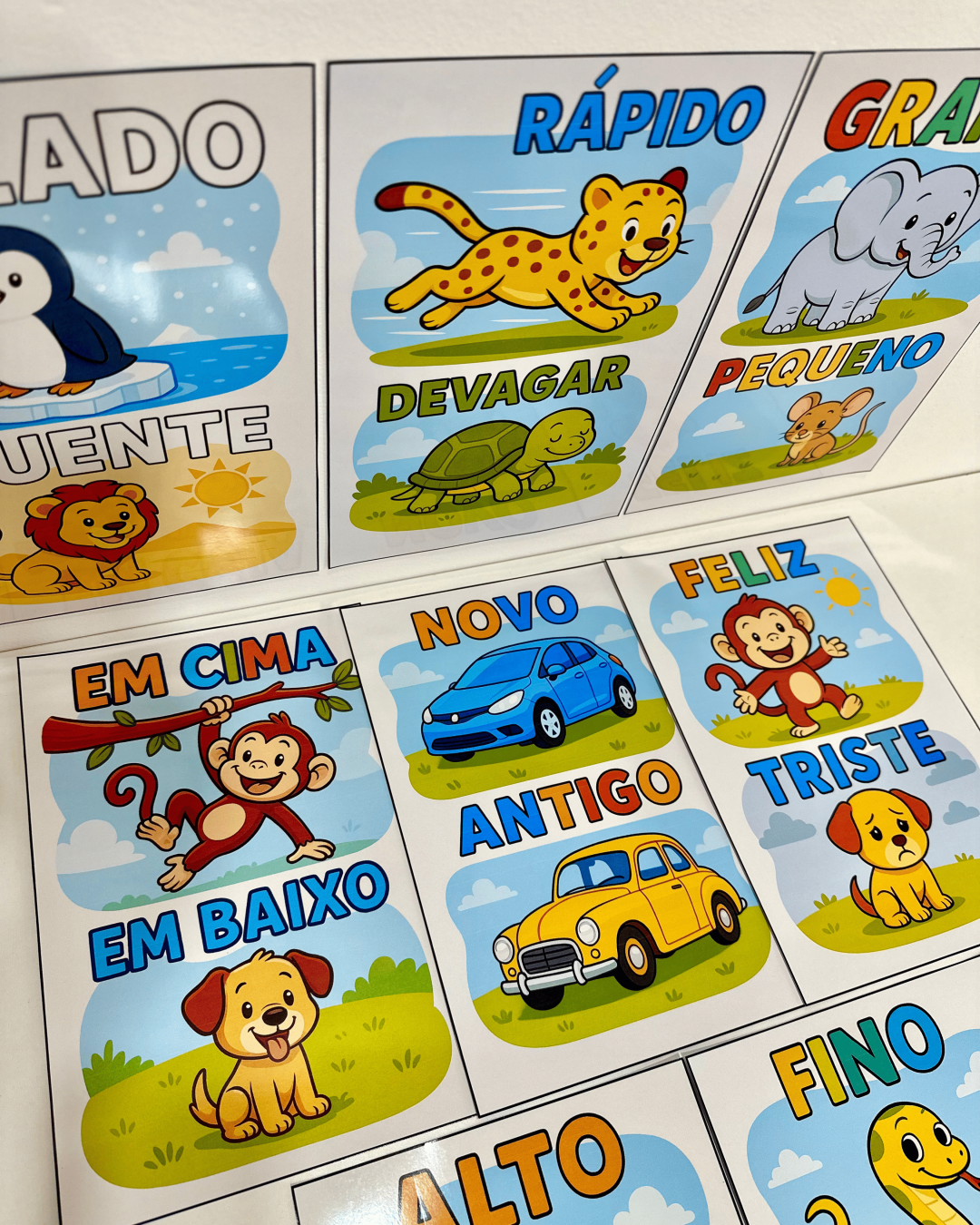 Fichas Conceitos - Educação Infantil - Imagem 6