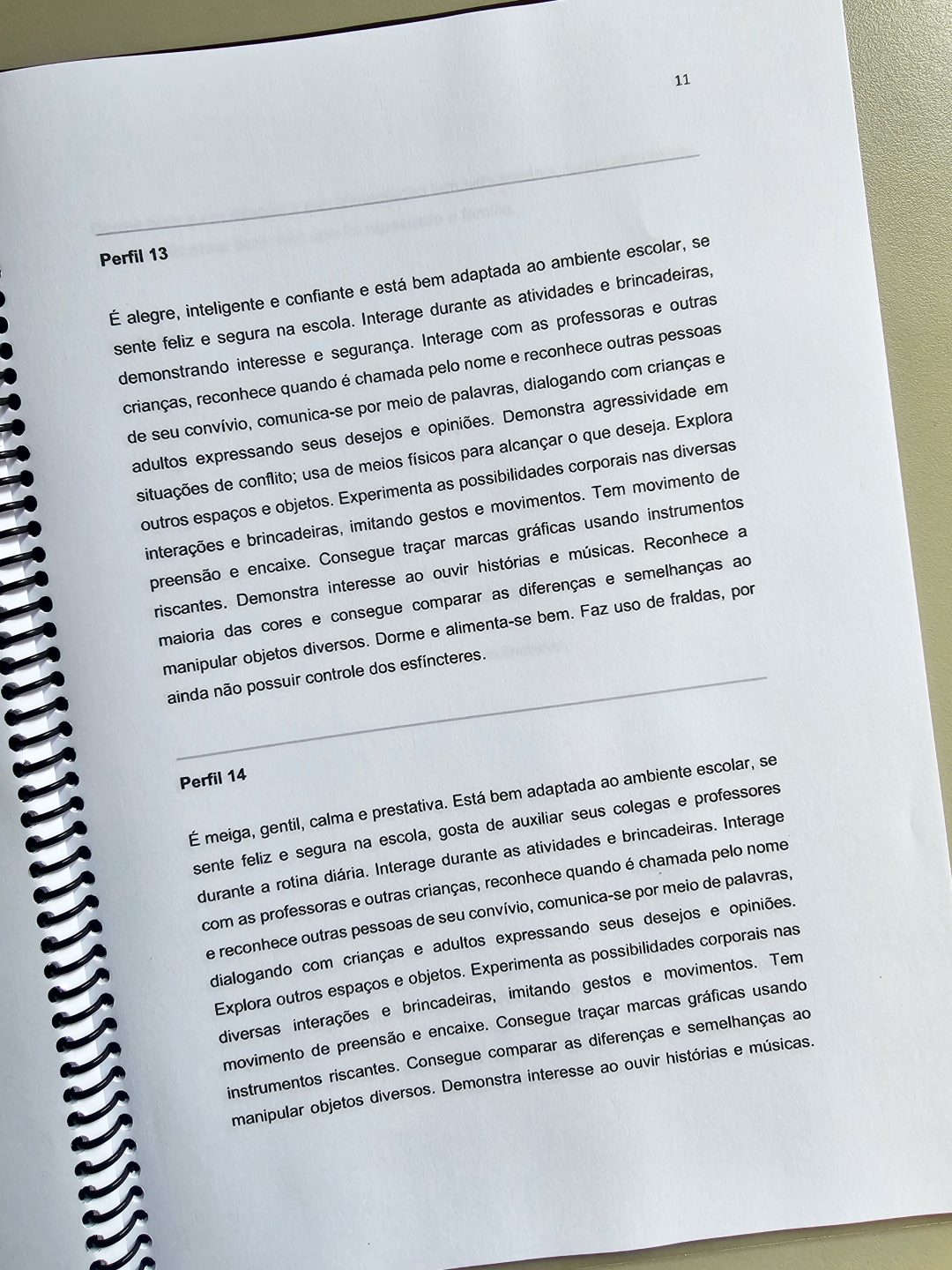 Relatórios Individuais Educação Infantil - Imagem 4