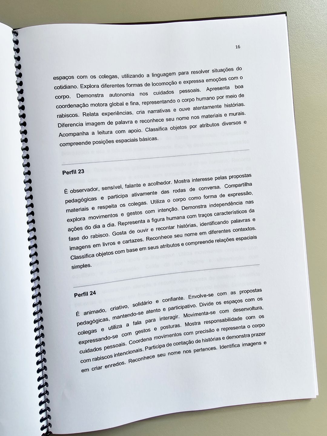 Relatórios Individuais Educação Infantil - Imagem 9