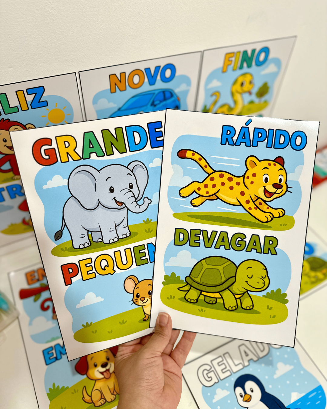 Fichas Conceitos - Educação Infantil