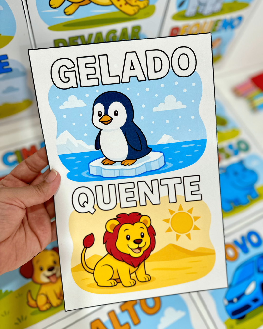 Fichas Conceitos - Educação Infantil - Imagem 8