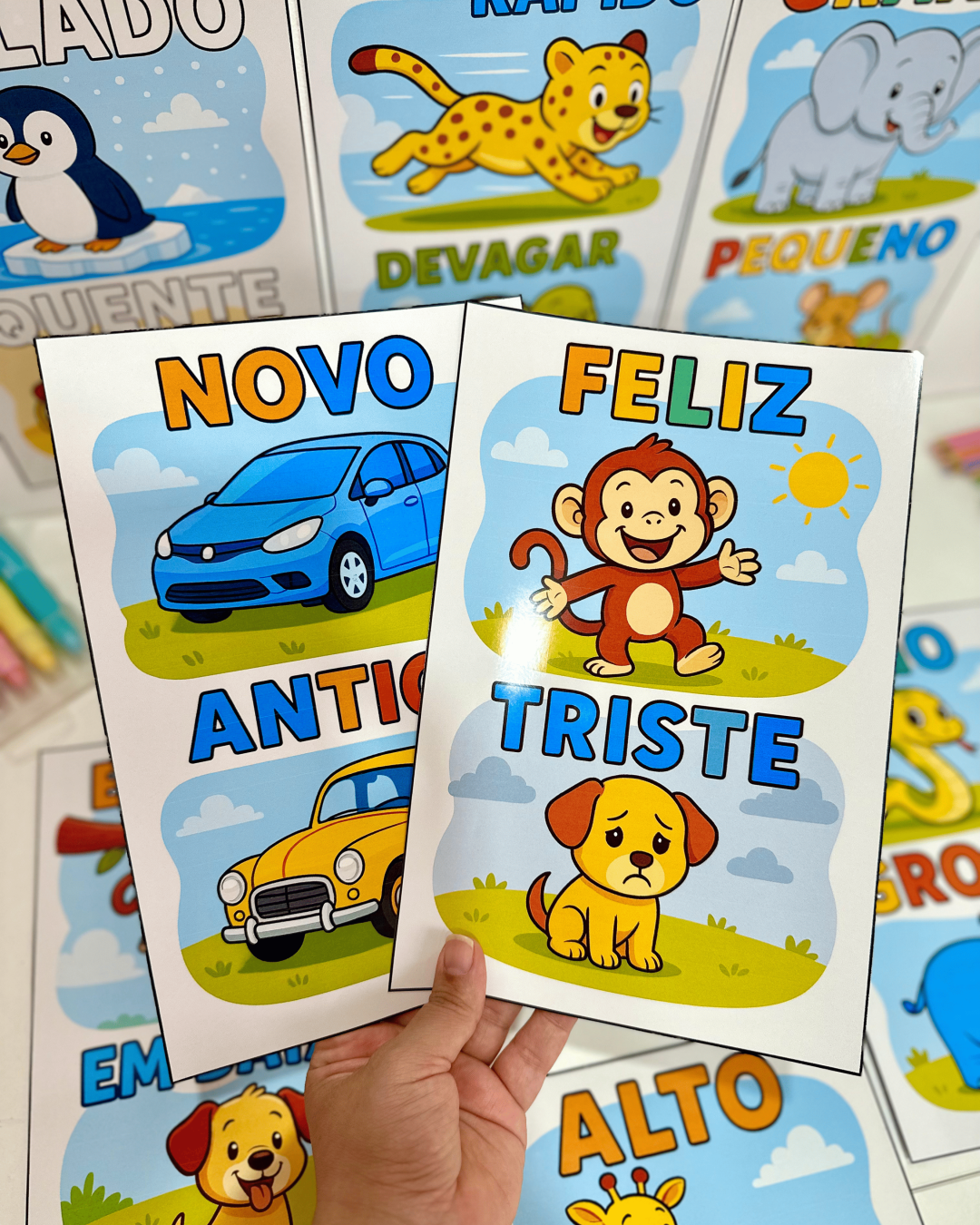 Fichas Conceitos - Educação Infantil - Imagem 2