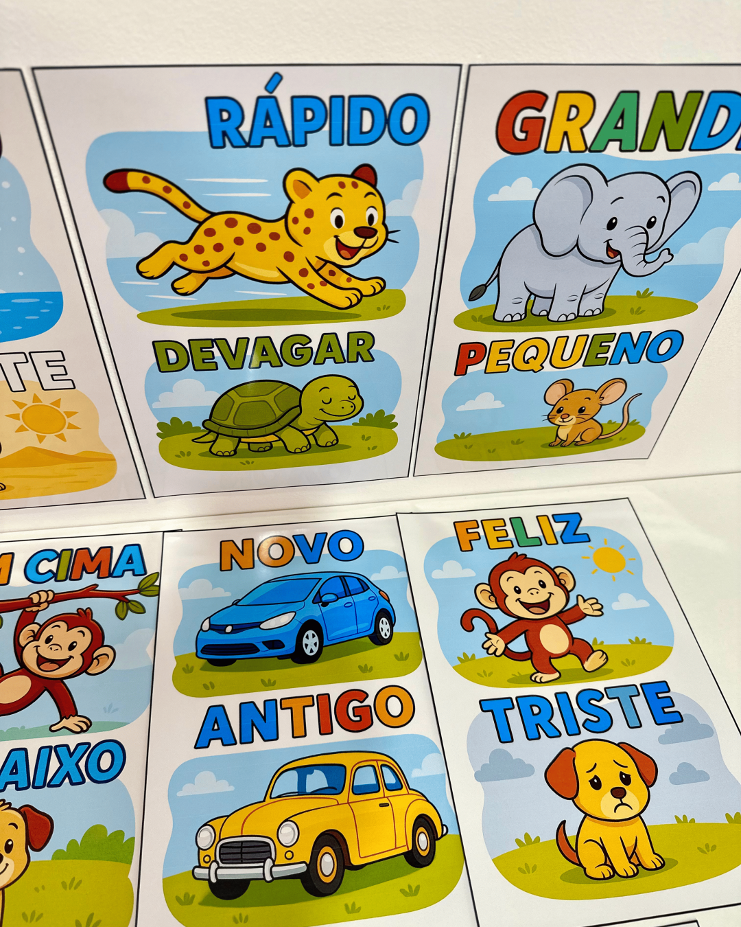 Fichas Conceitos - Educação Infantil - Imagem 9