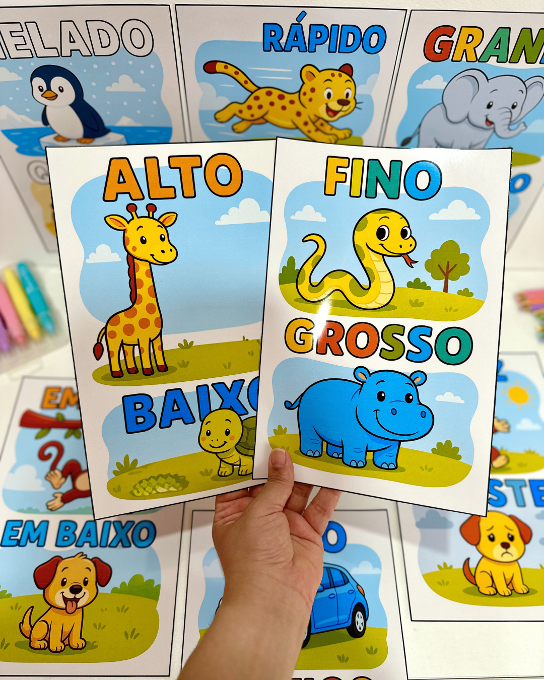 Fichas Conceitos - Educação Infantil - Imagem 10