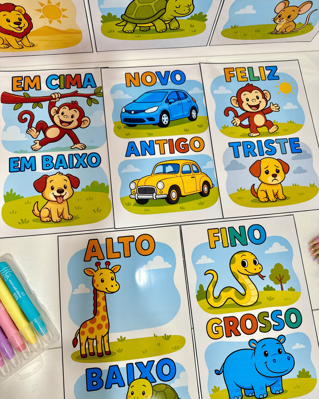 Fichas Conceitos - Educação Infantil - Imagem 3