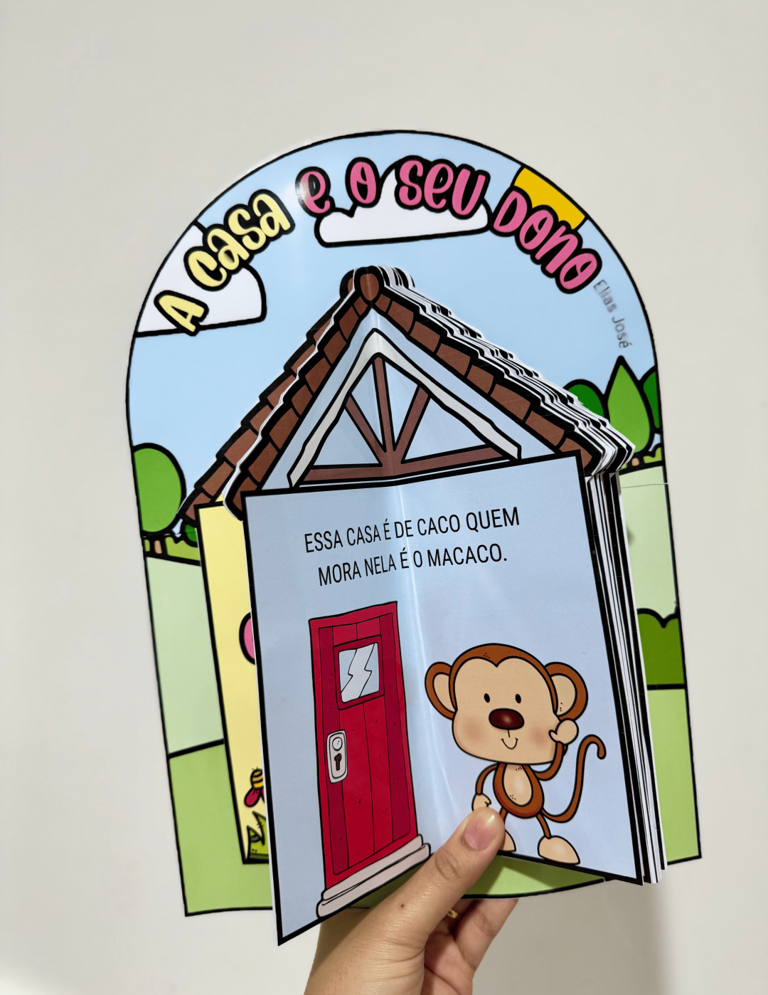 Livro "A Casa e o Seu Dono" - Imagem 3