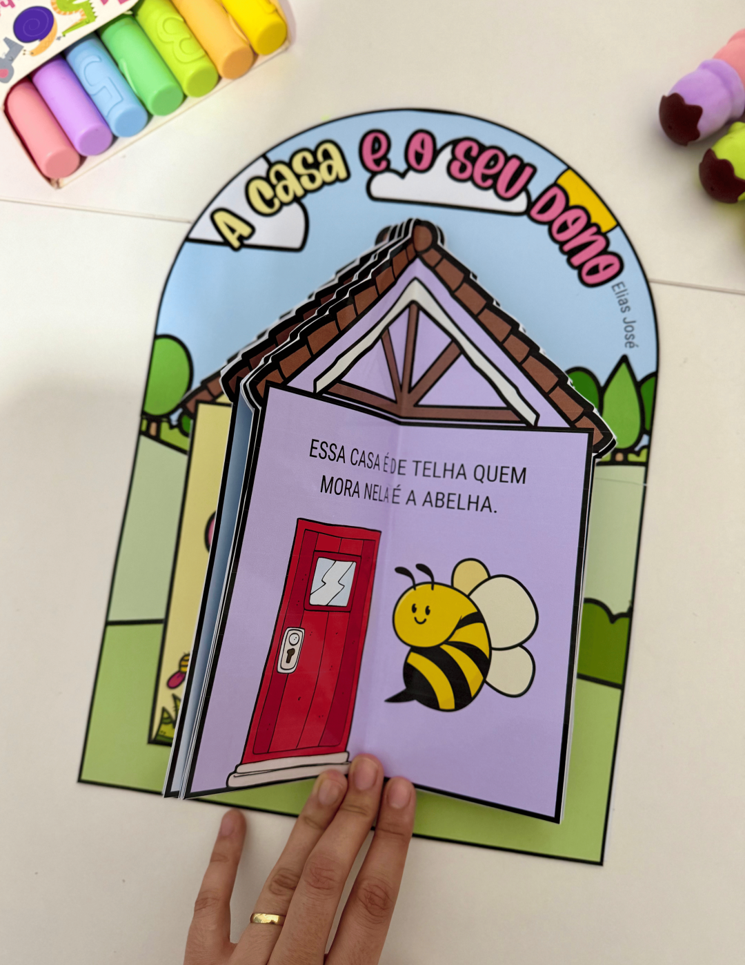 Livro "A Casa e o Seu Dono" - Imagem 10
