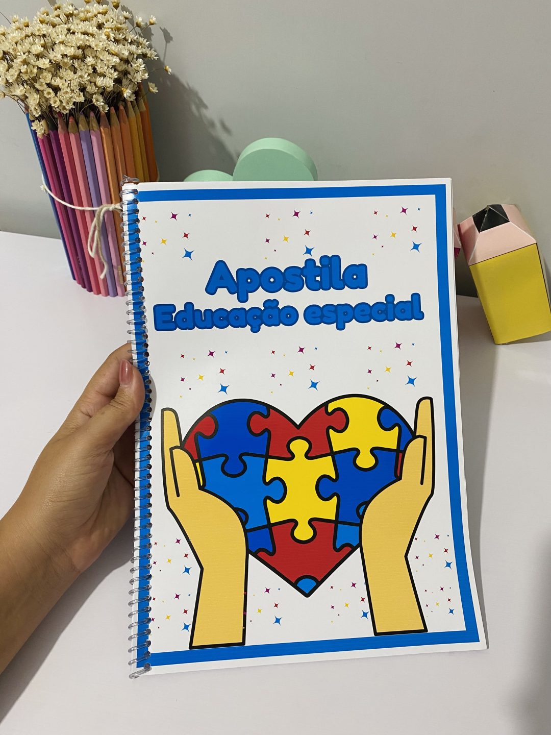 Apostila Educação Especial