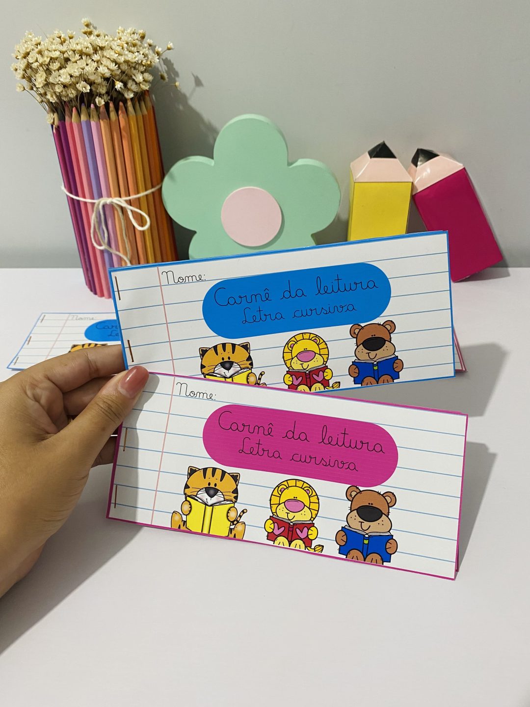 Carnê da Leitura