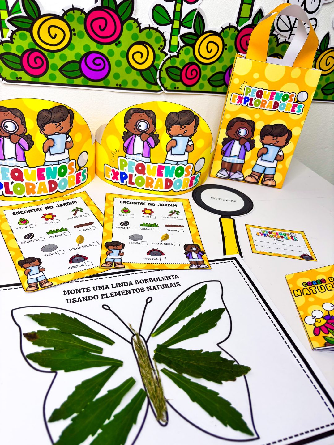 Pequenos Exploradores