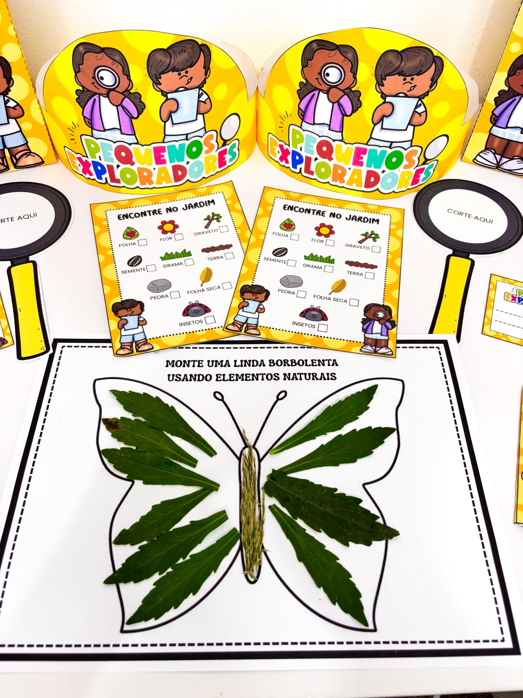 Pequenos Exploradores - Imagem 13