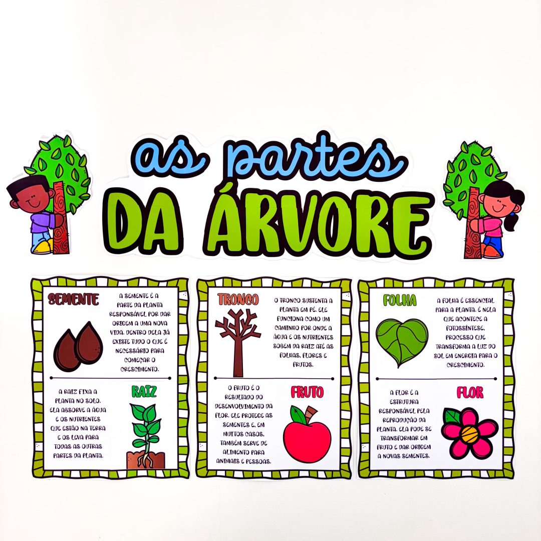 Partes da Árvore