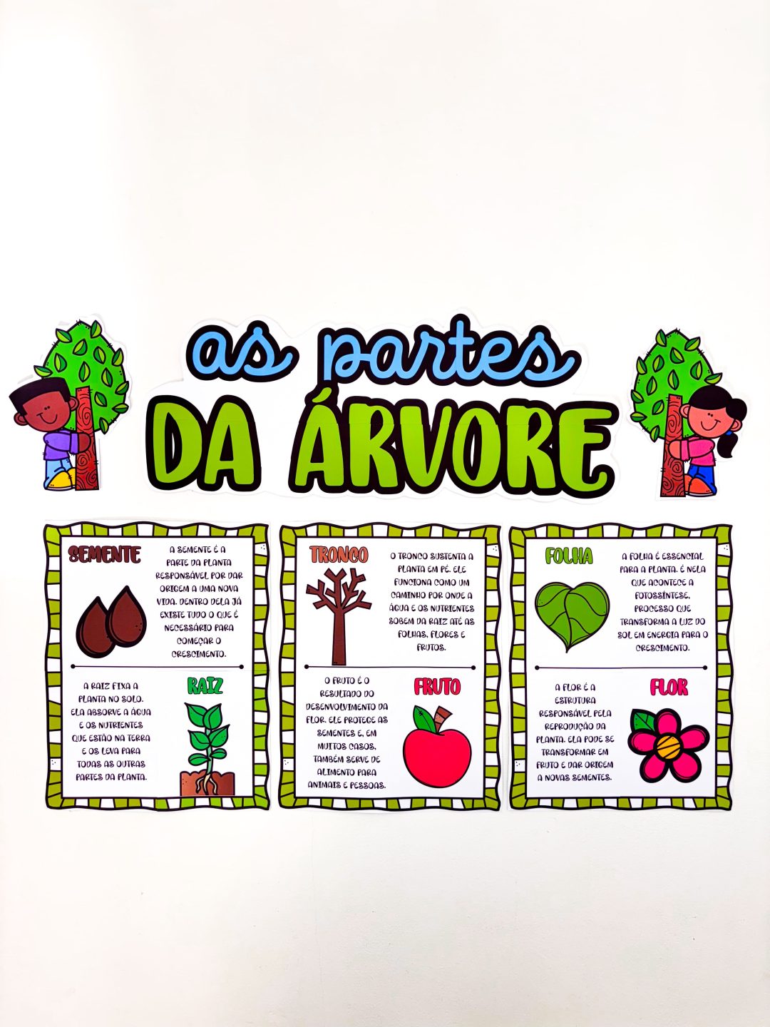 Partes da Árvore