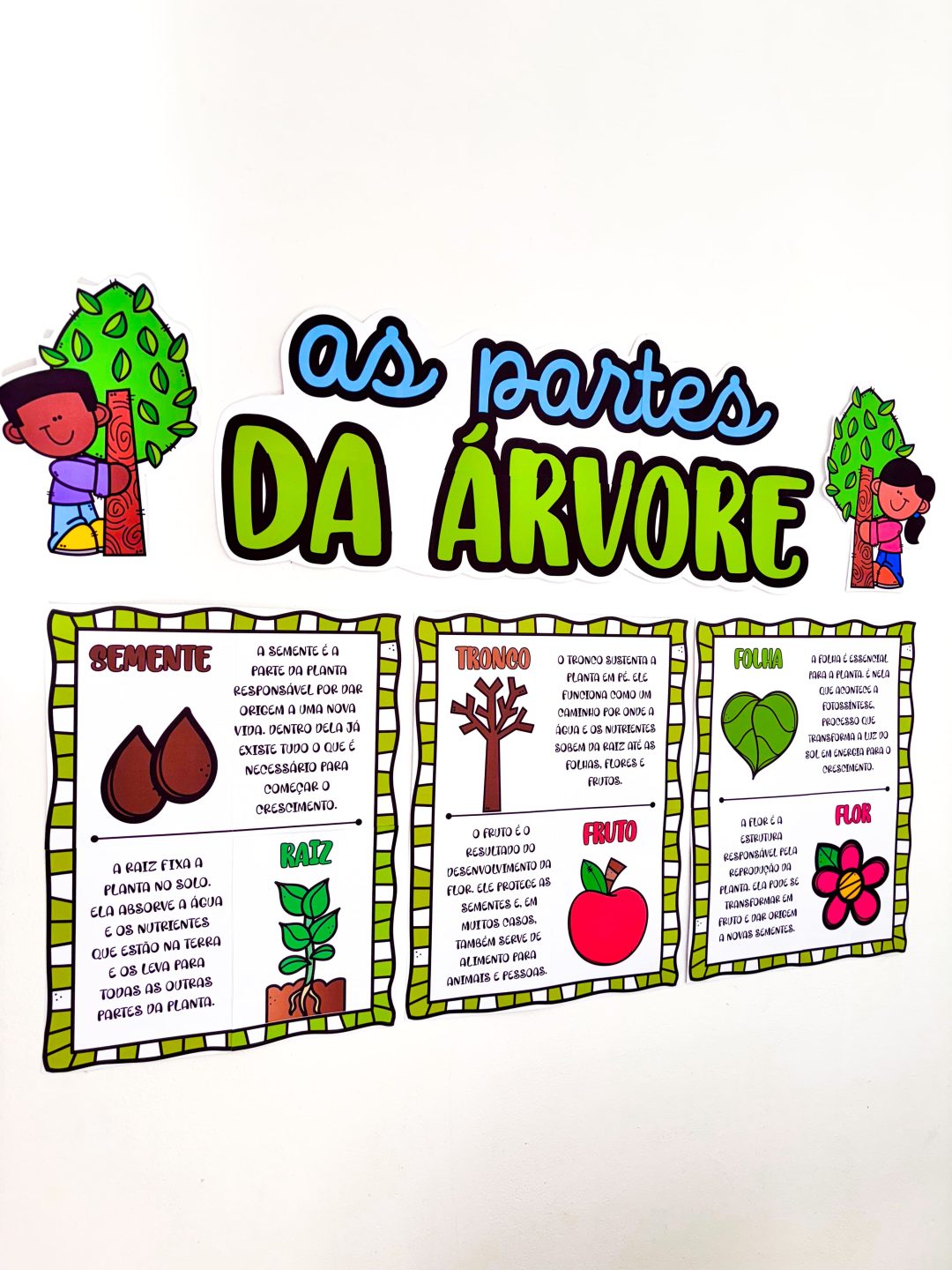 Partes da Árvore - Imagem 2