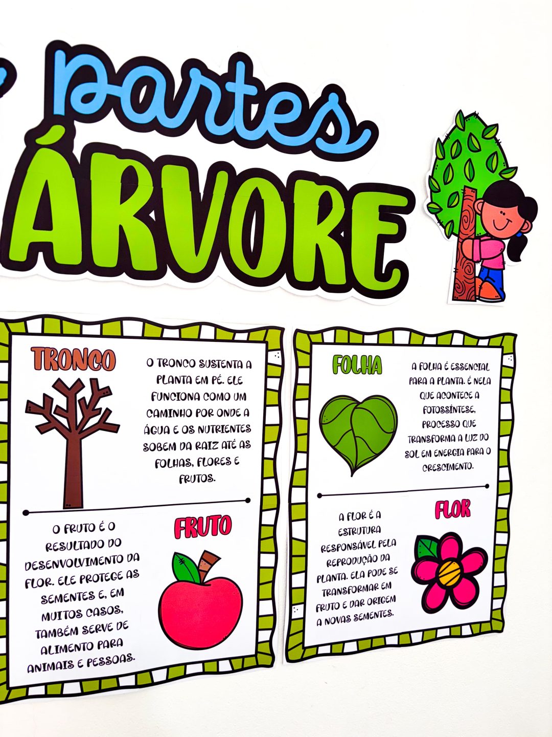 Partes da Árvore - Imagem 4