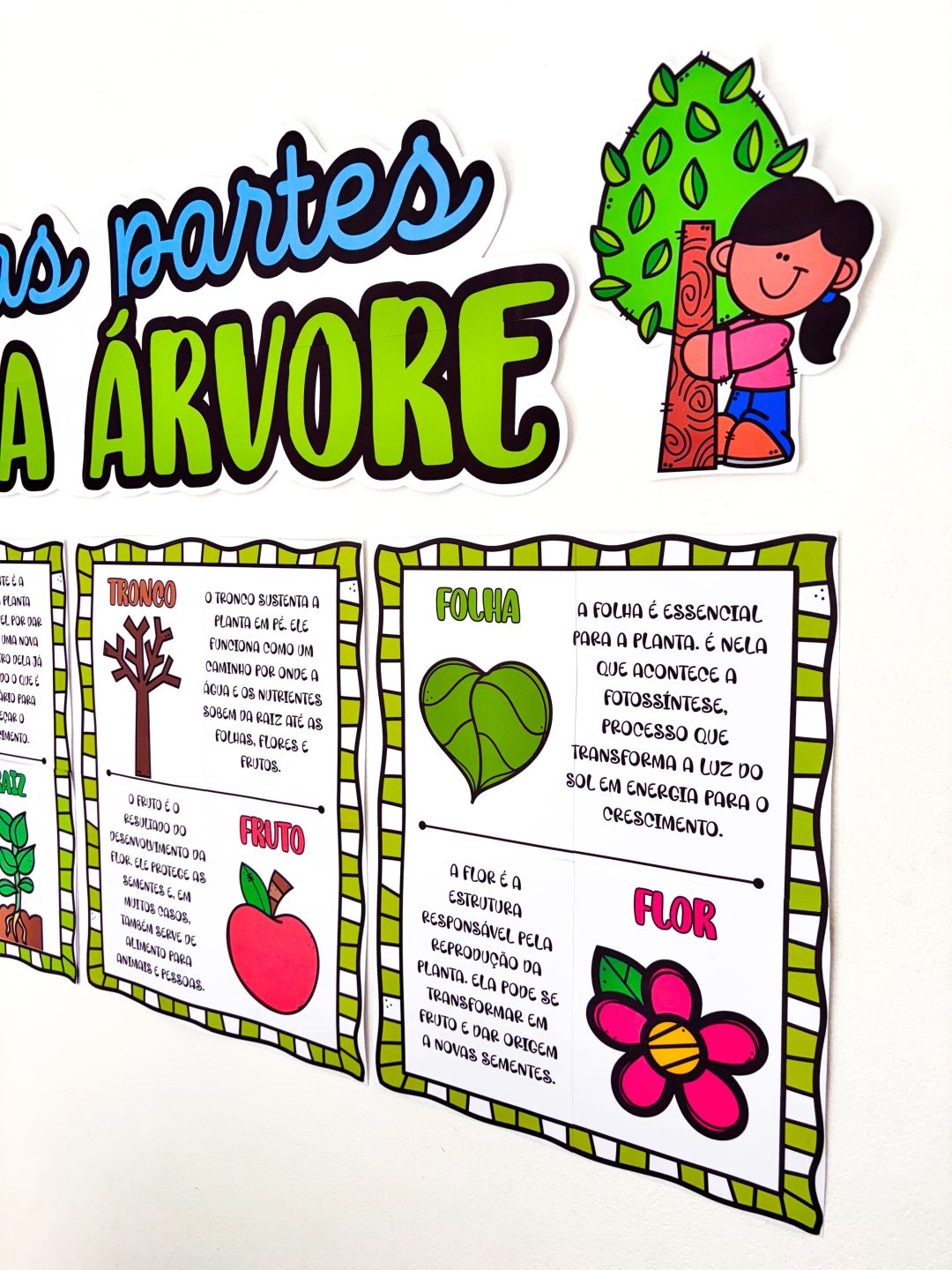 Partes da Árvore - Imagem 5