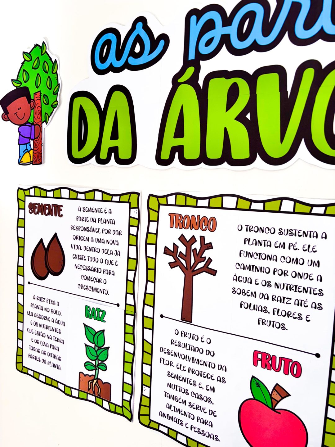 Partes da Árvore - Imagem 6