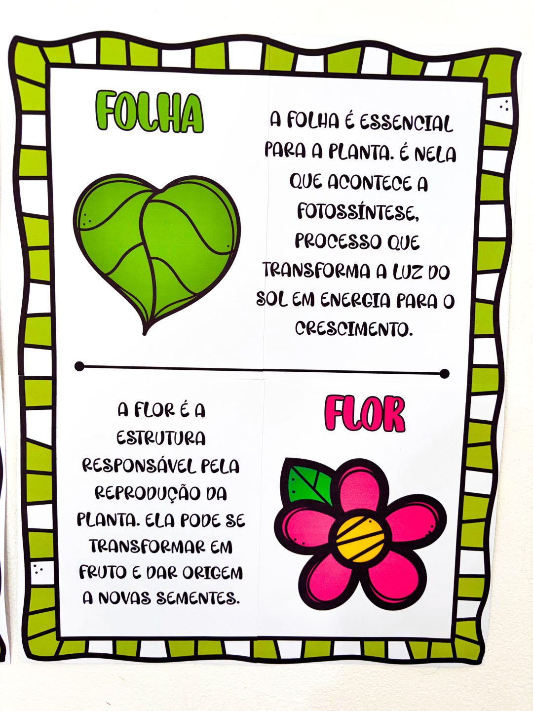 Partes da Árvore - Imagem 7