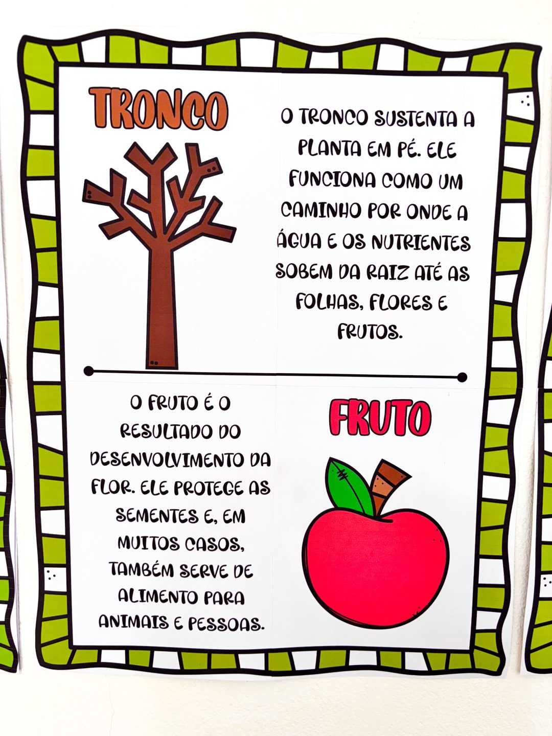 Partes da Árvore - Imagem 8