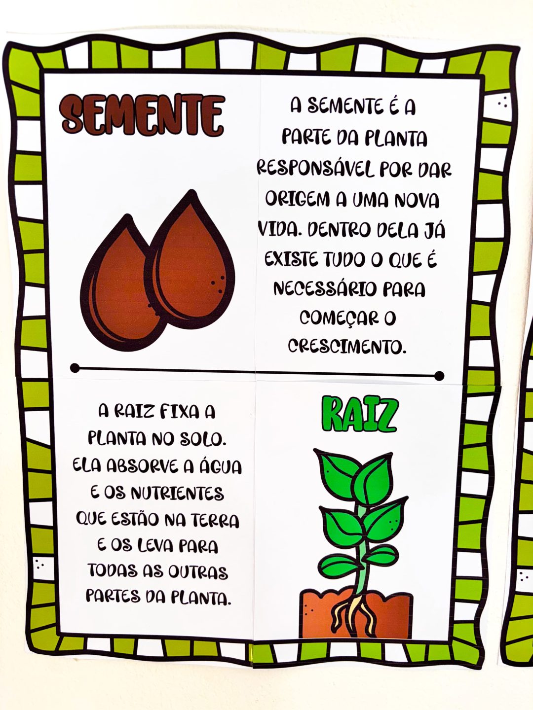 Partes da Árvore - Imagem 9