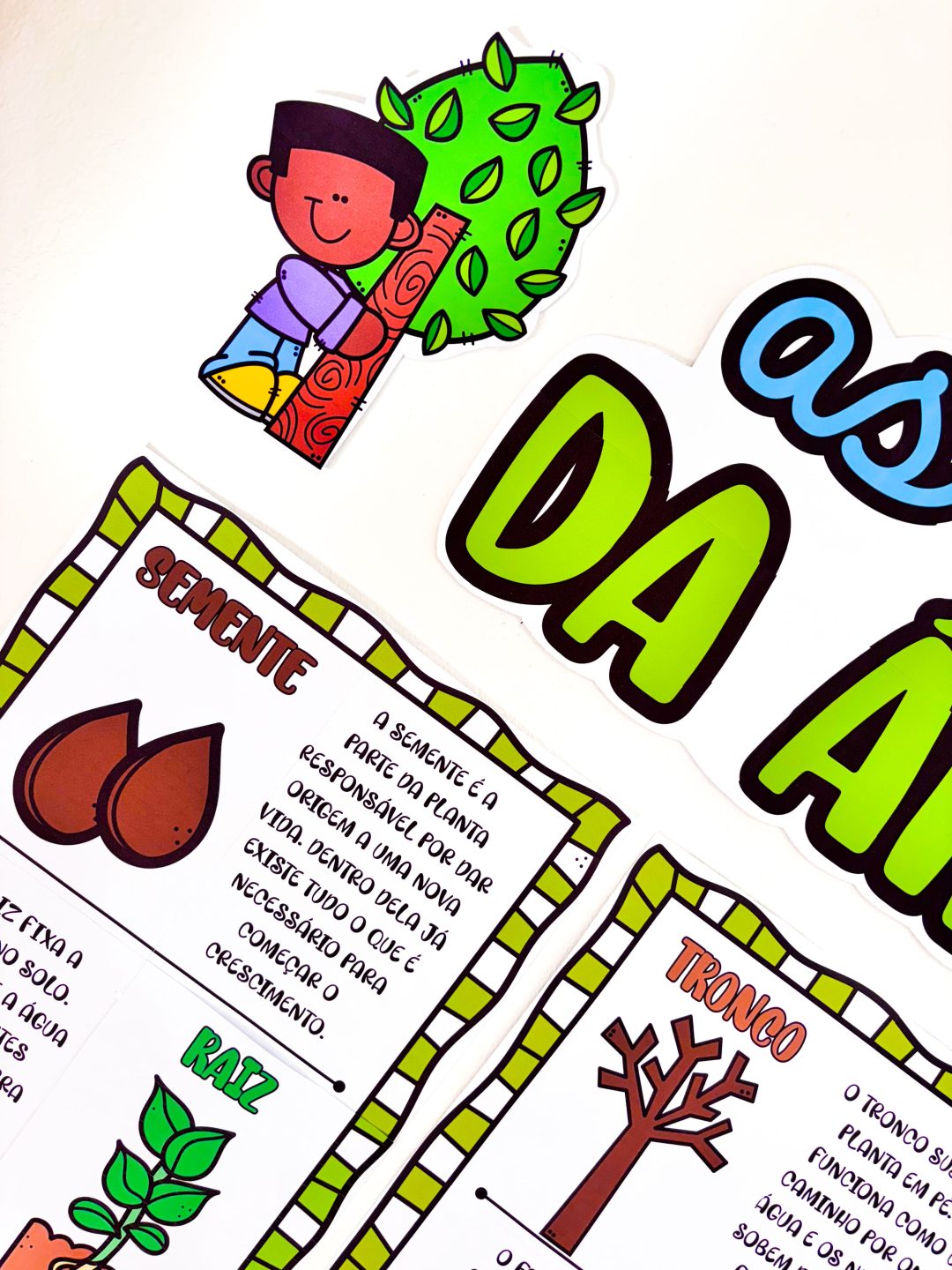 Partes da Árvore - Imagem 10