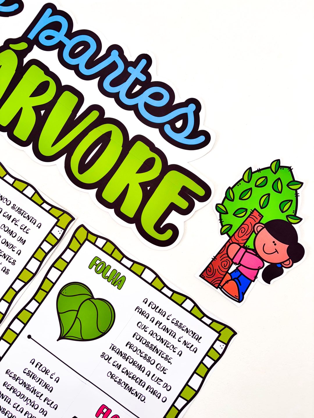 Partes da Árvore - Imagem 11