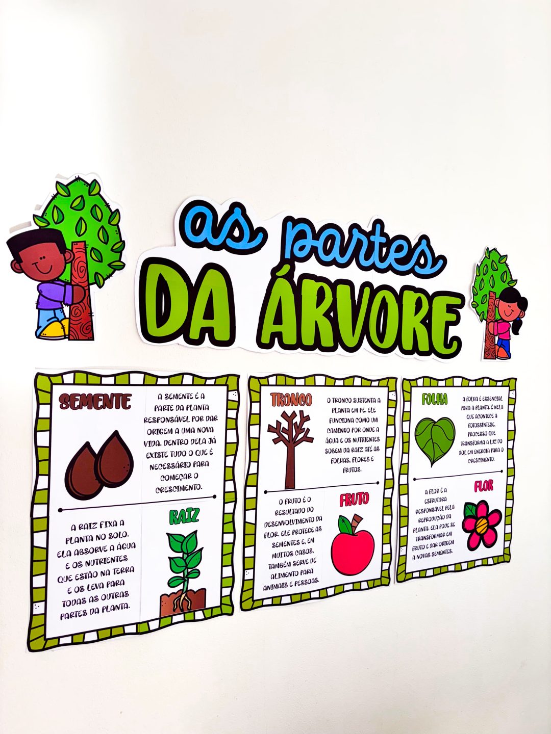 Partes da Árvore - Imagem 12