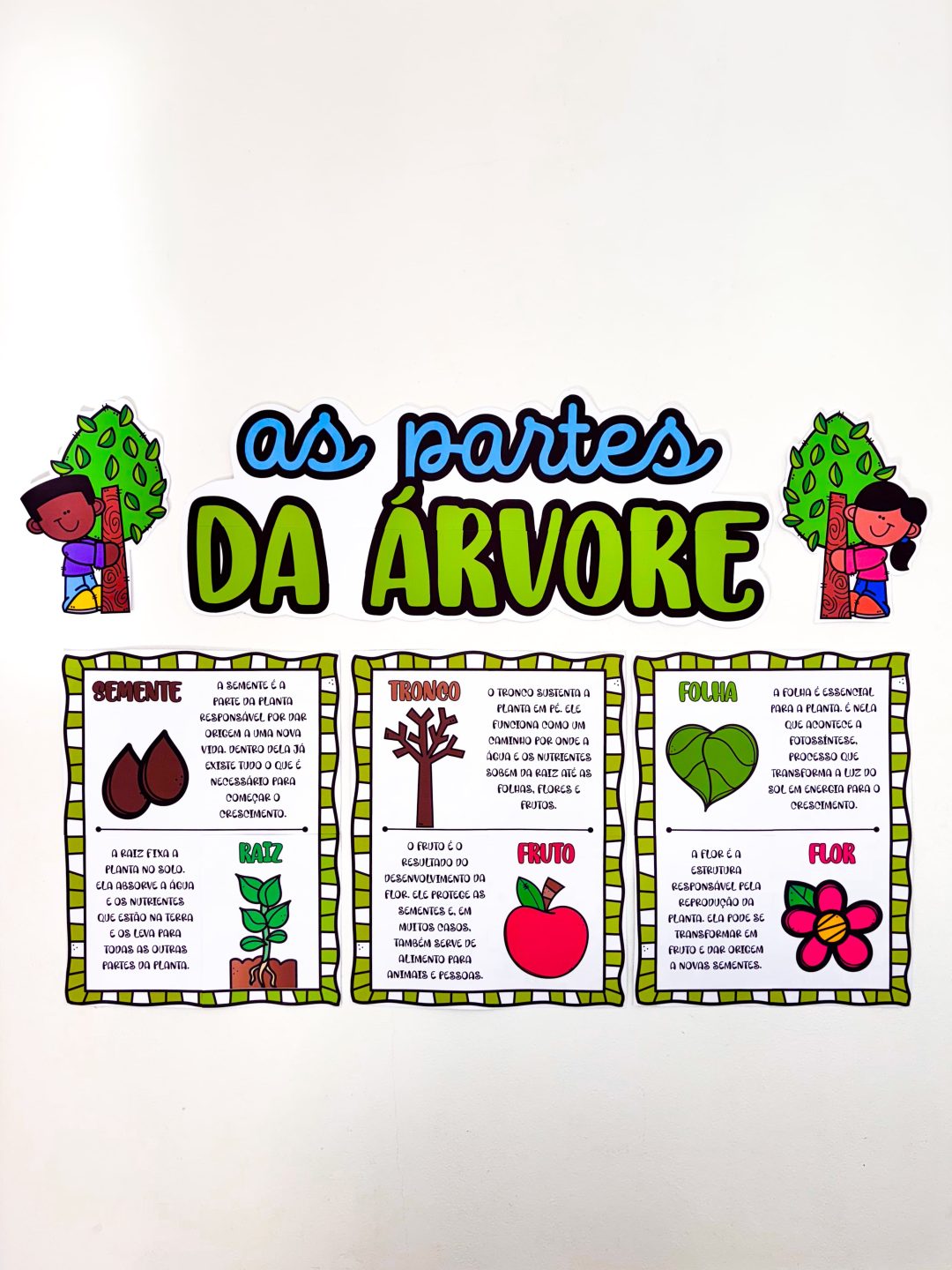 Partes da Árvore - Imagem 13