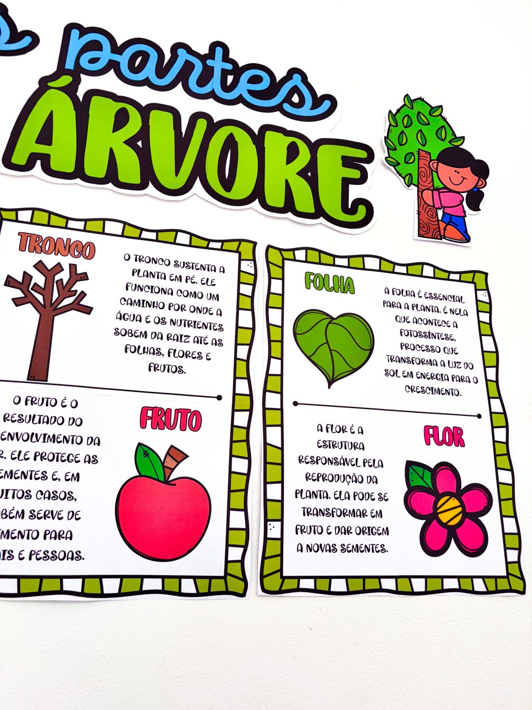 Partes da Árvore - Imagem 14