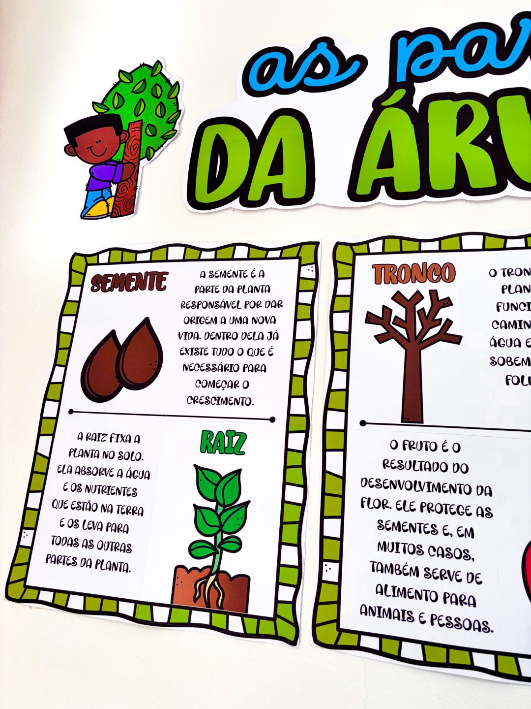 Partes da Árvore - Imagem 15